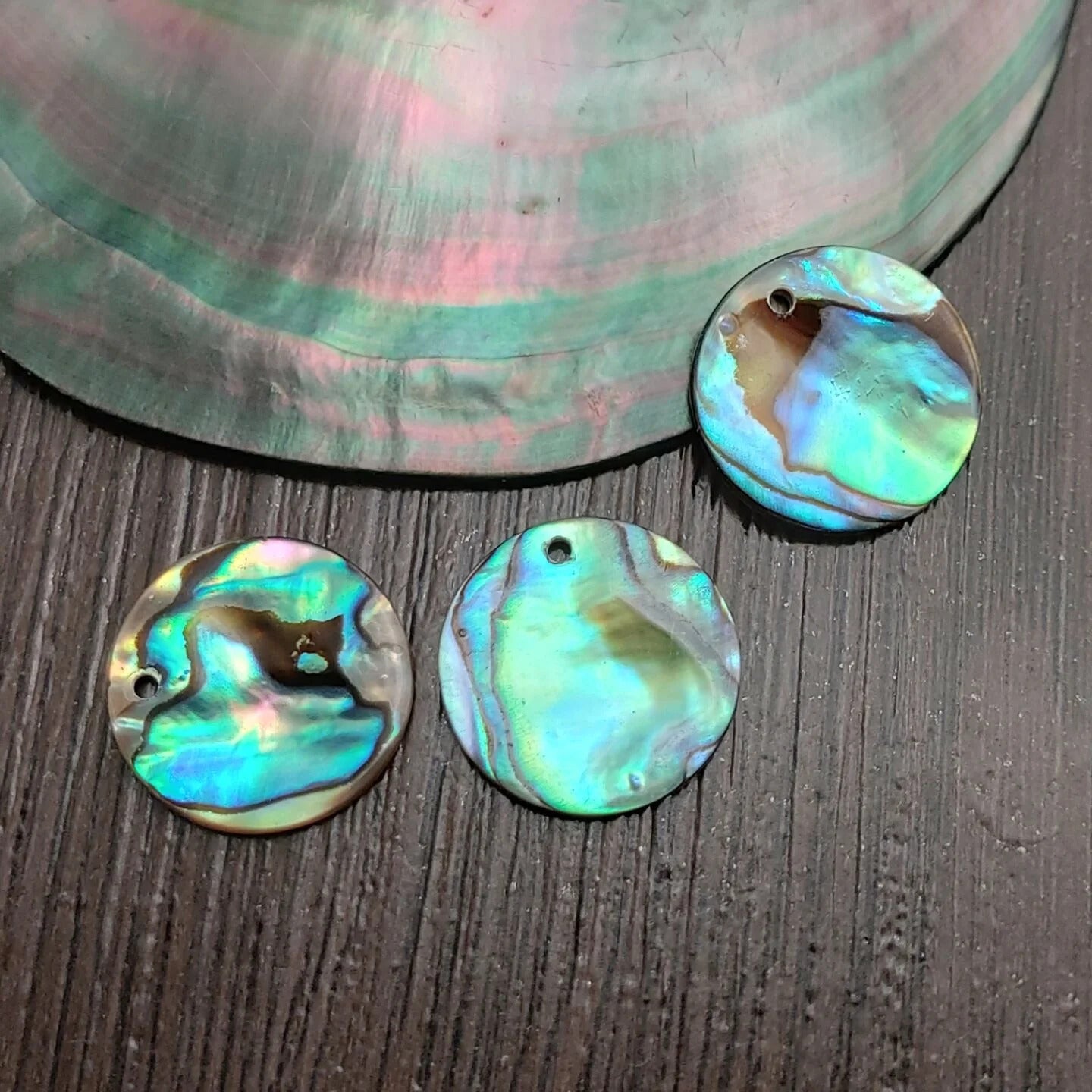6pcs Natural Paua Abalone Shell Disc Pendant Beads | 19mm with Hole for Jewelry Making