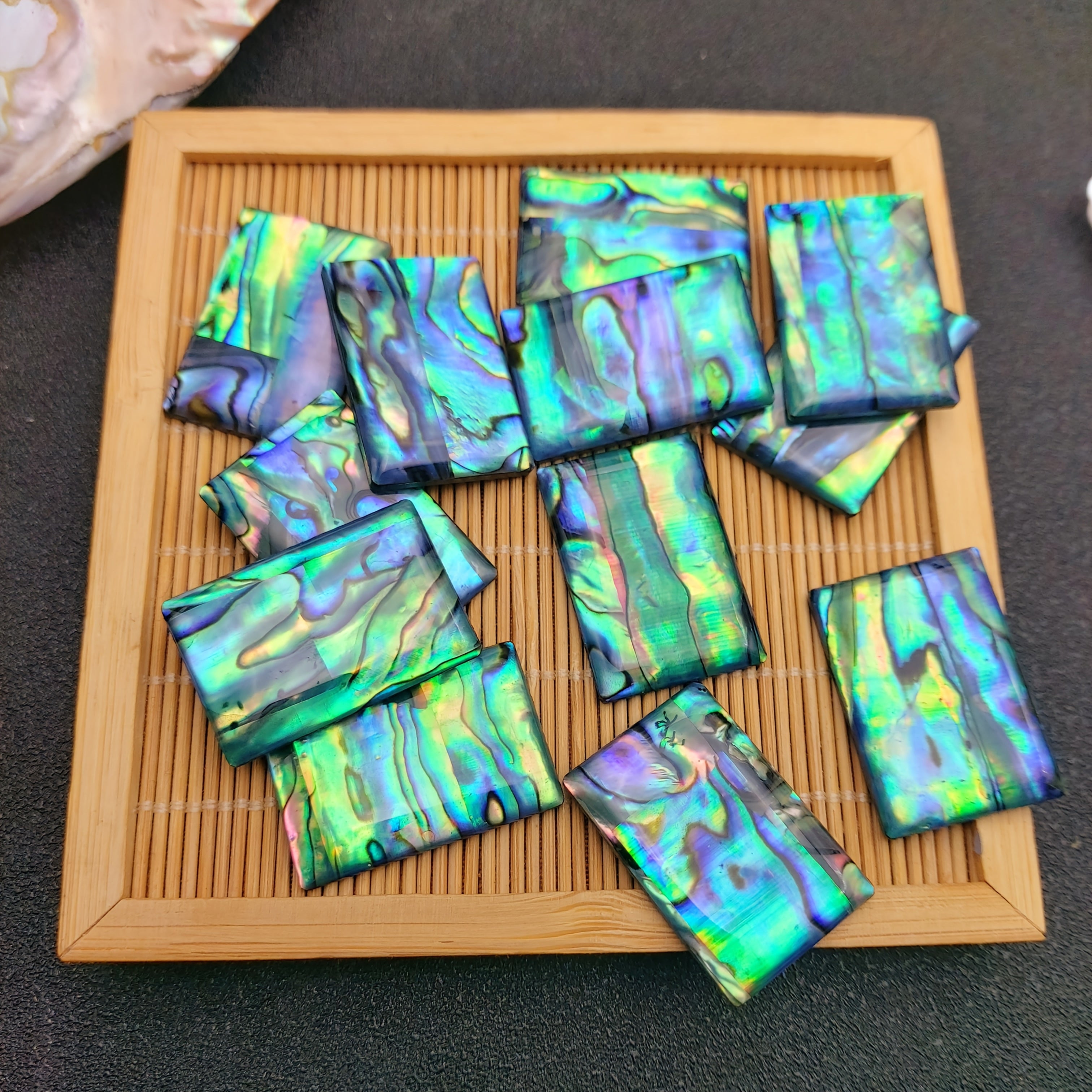 5pcs Natural Abalone Shell Cabochons with Acrylic Base-20*30mm