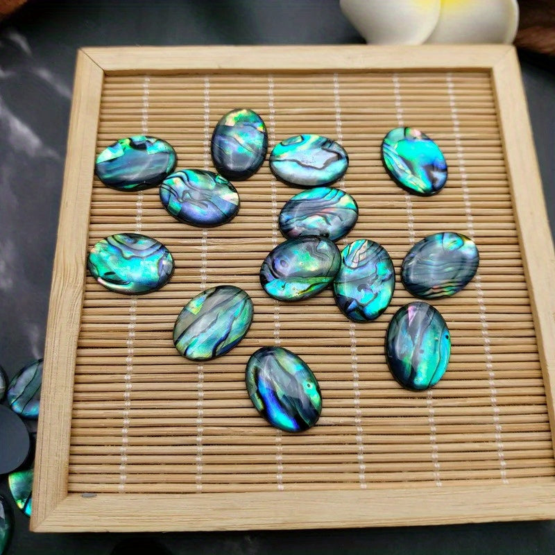 10pcs 13x18mm Abalone Shell Flat Cabs with Acrylic Base for Rings DIY Making Bright Polish Paua Loose Beads Jewelry, Beads for Jewelry Making, Polished Finish, Smooth Texture, Bead Supplies, Craft Enthusiasts
