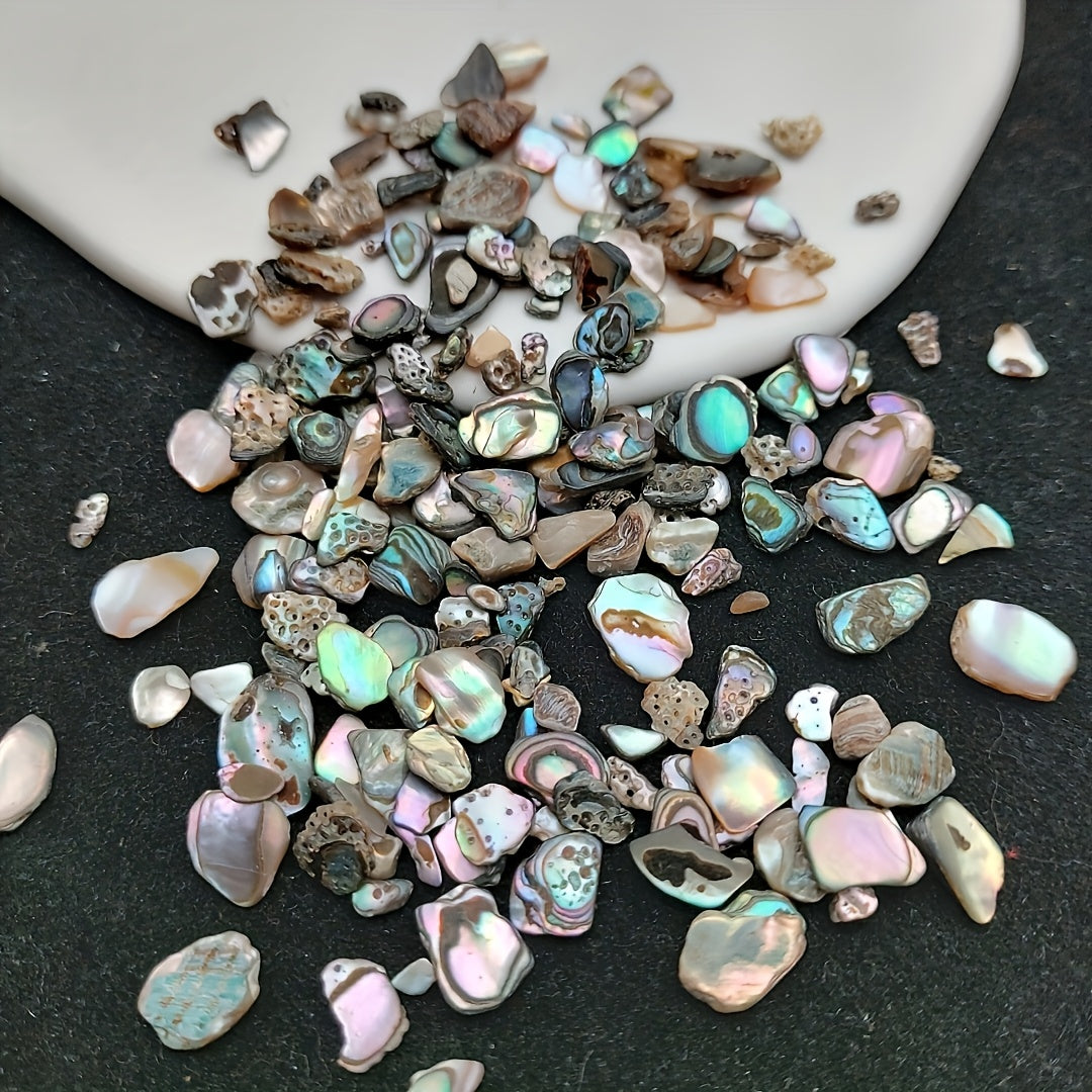 1oz(28.35g) Natural Abalone Shell Pack Of Mix Nail Charms Include Different Shapes, Delicate Mini Charms for Craft