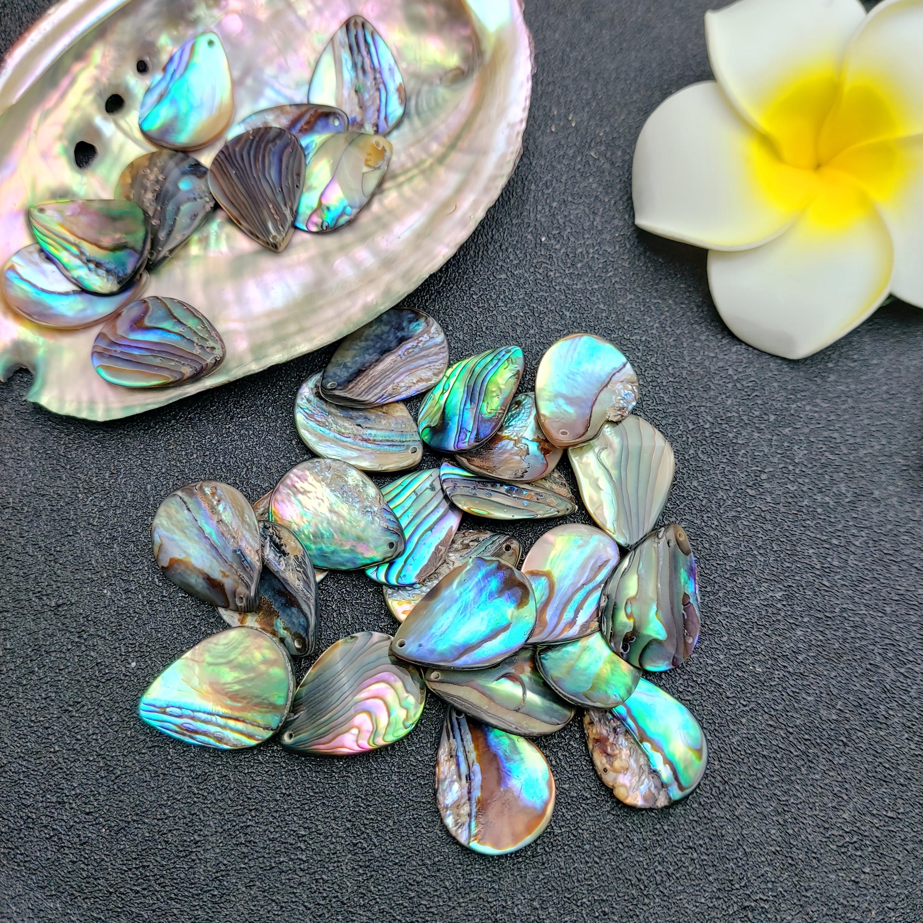 4pcs Natural Abalone Shell Charms - Hawaiian Paua Pendant with Iridescent Mother-of-Pearl-like Layers, for DIY Jewelry Making, Necklace & Earring Charms - Ocean Island Jewelry Crafting