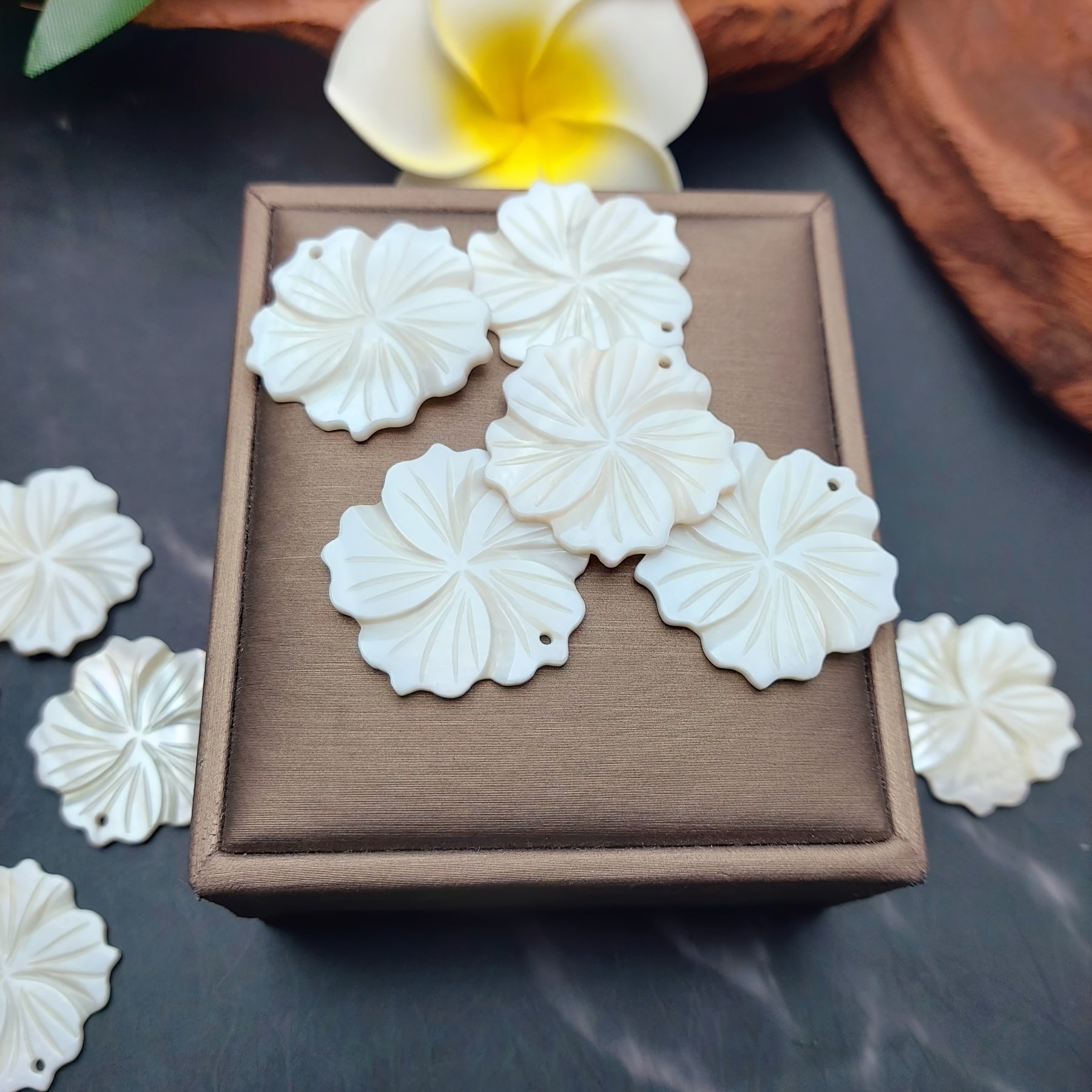 10pcs Natural Freshwater Shell Carvings | DIY Jewelry Making for Necklaces and Earrings - Hawaiian Island Style Inspired