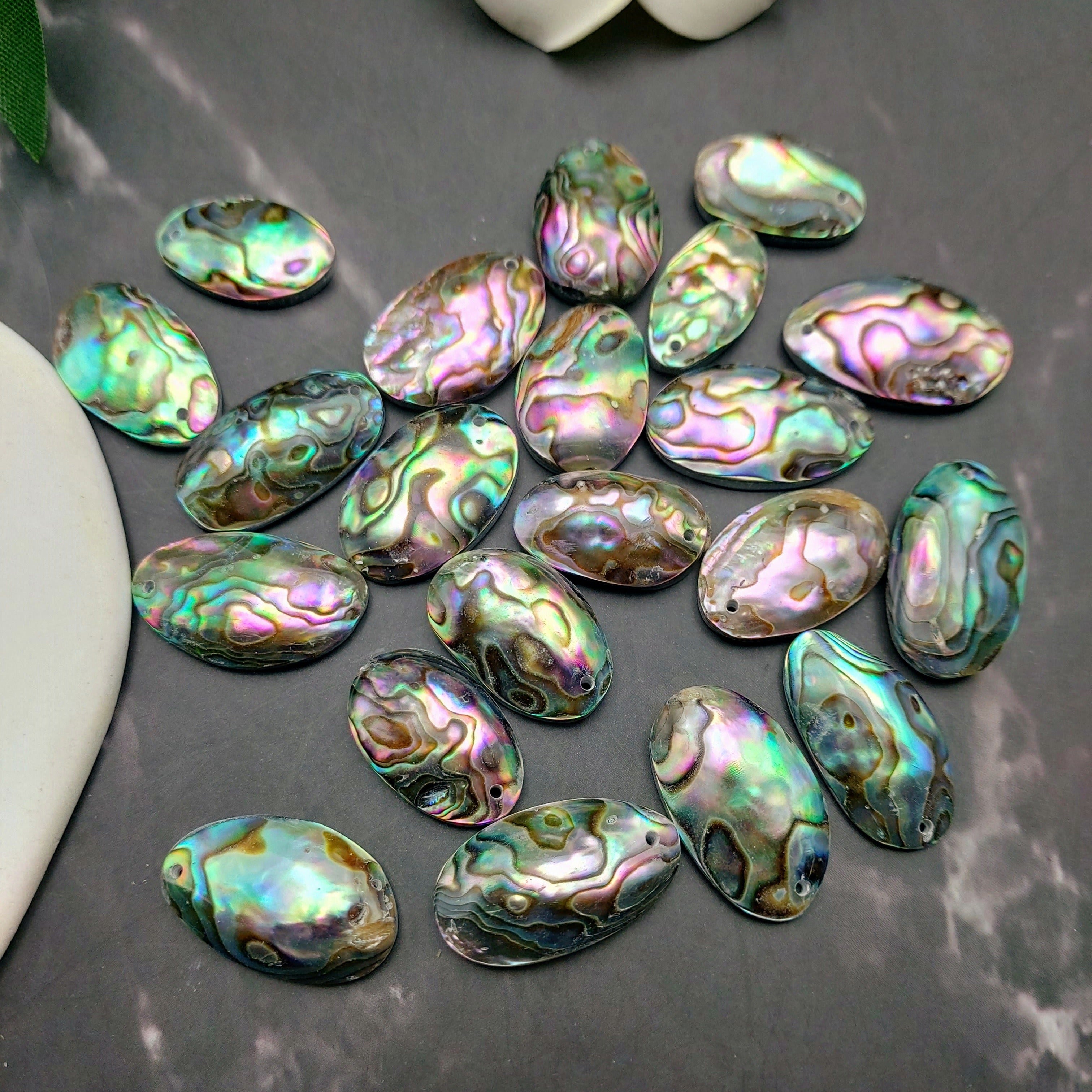 4pcs Abalone Shell Cabochons/ Pendants Featuring Mother of Pearl Backing